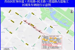 官方：哈兰德、多库、丁丁因伤无缘世俱杯，汉密尔顿等3名球员入选